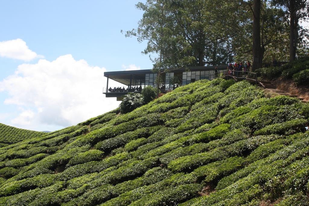 Cameron Strawberry Residence Cameron Highlands Kültér fotó