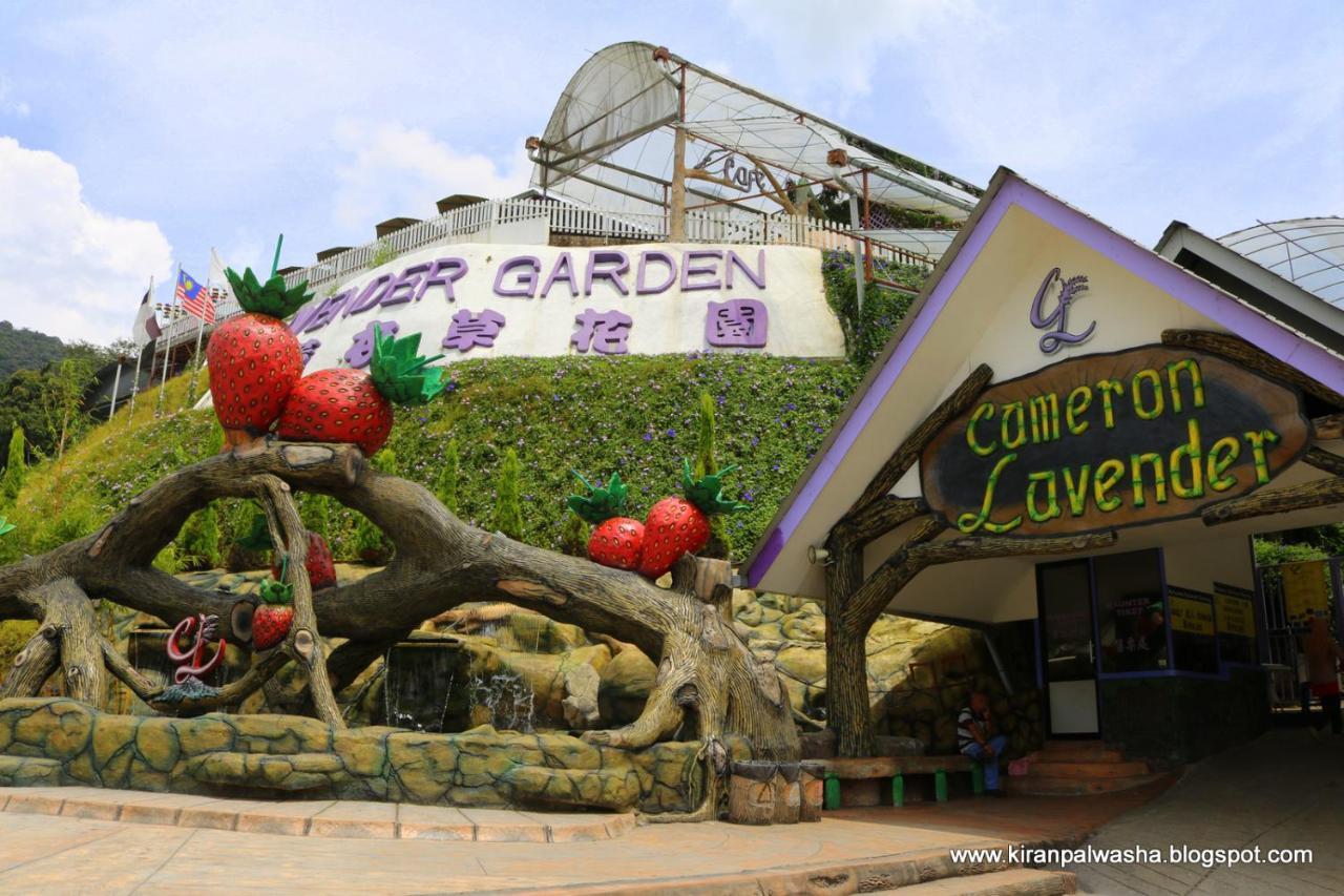 Cameron Strawberry Residence Cameron Highlands Kültér fotó